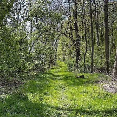 Ae237-aeroskobing-hanses-ager-19